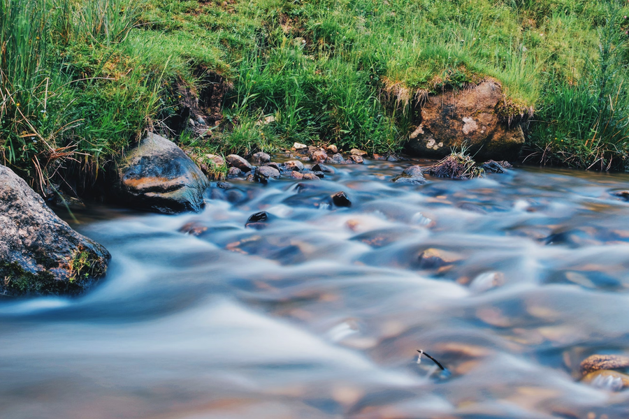 Cover image for The real risk management: income smoothing